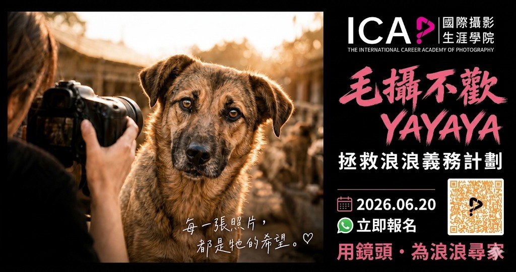 拯救浪浪義工招募！ICAP.V「毛攝不歡 YAYAYA」用鏡頭為毛孩尋家